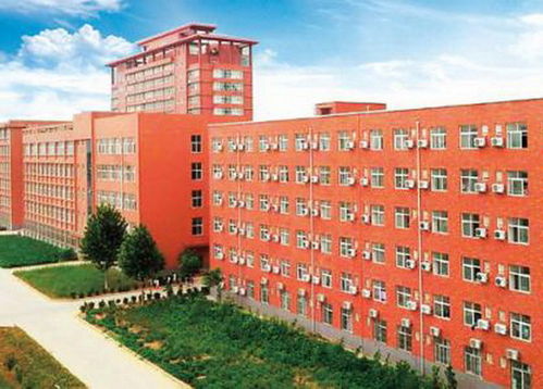 洛阳科技职业学院与襄阳汽车职业技术学院 线上教学两校同心，确保“延迟开学不停教、不停学”