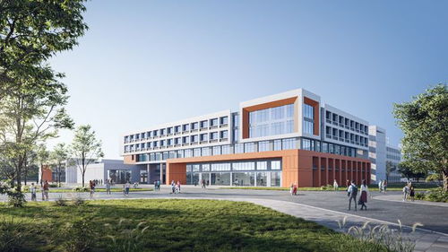 襄阳技师学院与襄阳汽车职业技术学院规划效果图解读