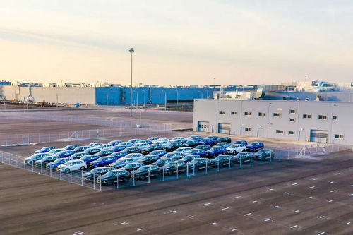 从襄阳到全球 长城汽车如何借力职业教育，迈出全球化最坚定一步